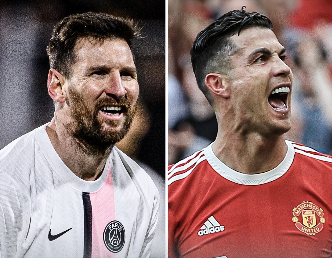 真正转化为 真正转化为